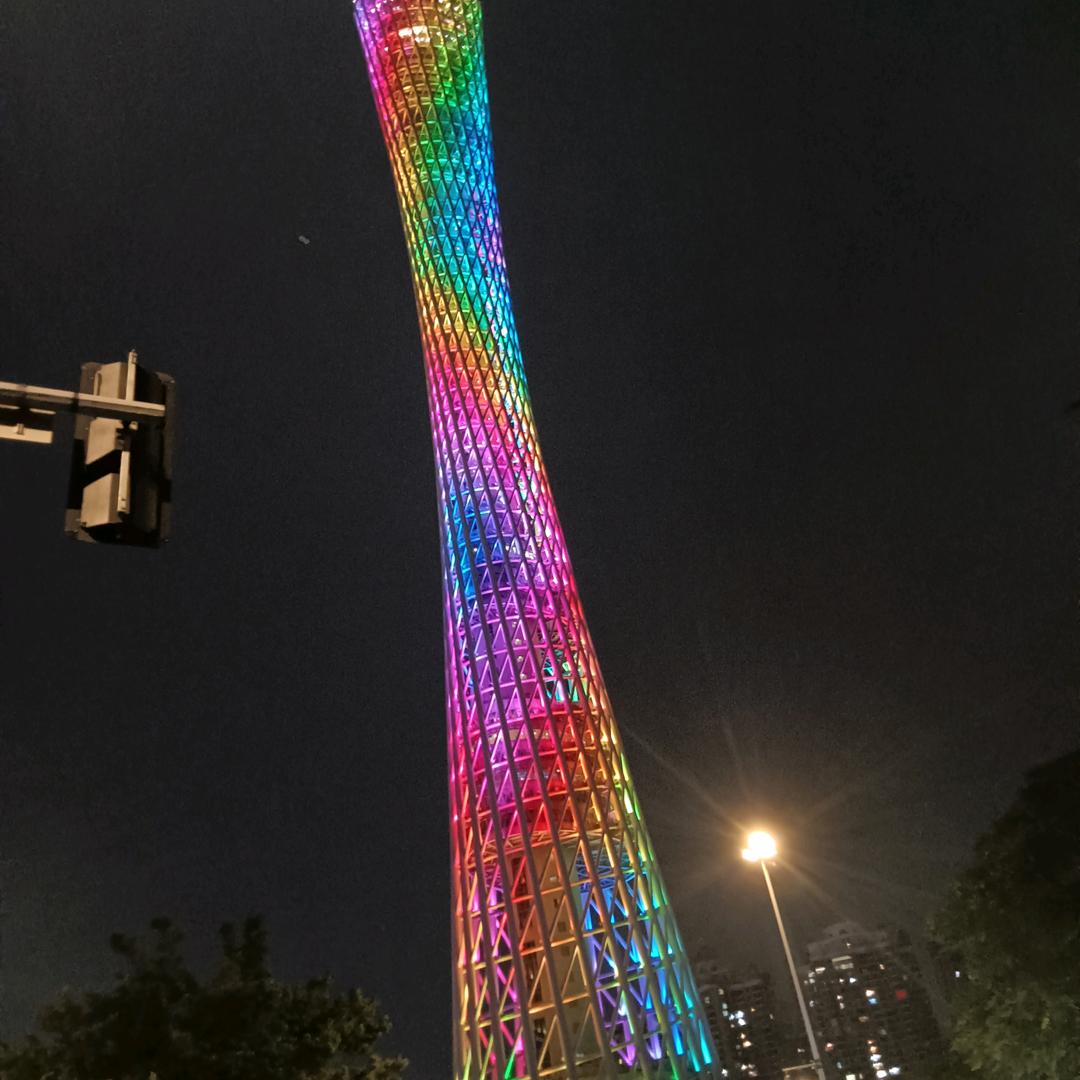 牡丹开花&