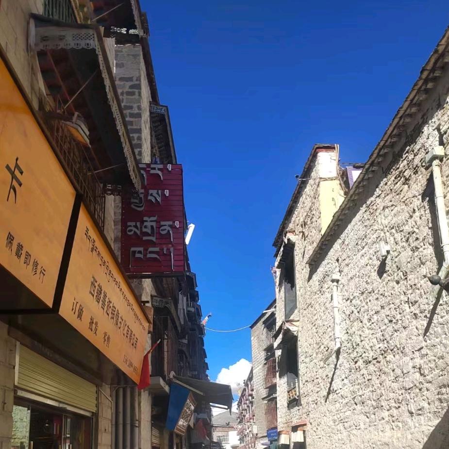 普卓