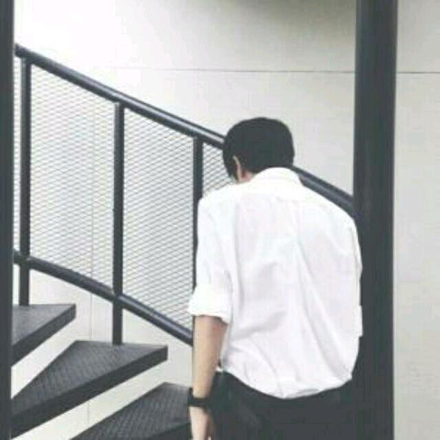 𓆡𓆝𓆟𓆜𓆞。