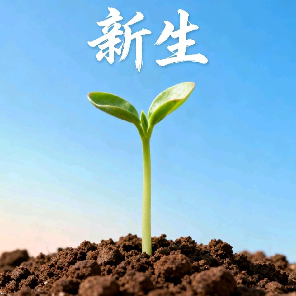 赌海回头岸