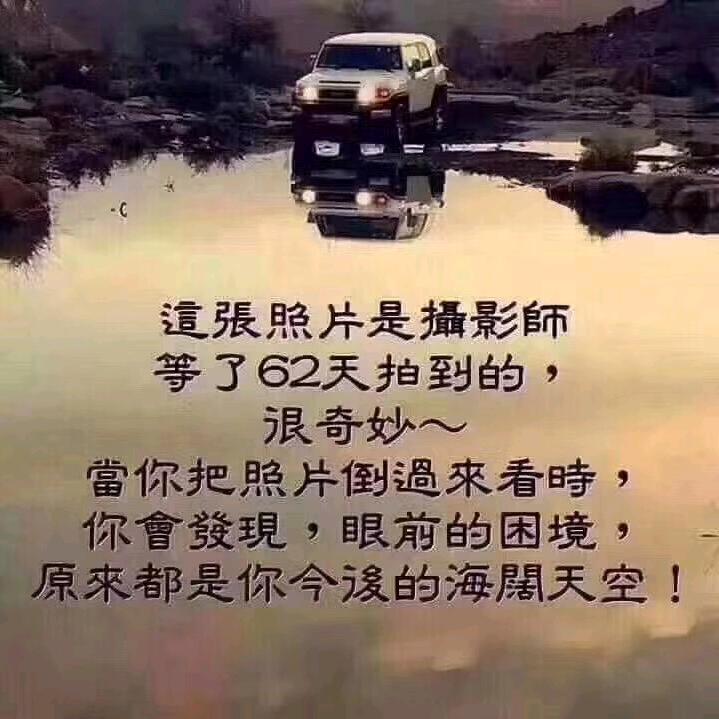 锐子123