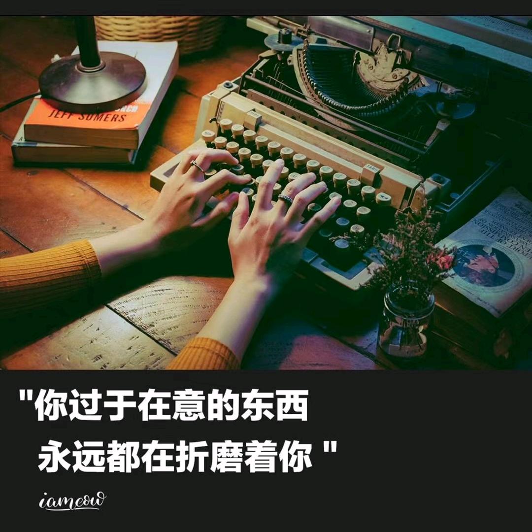 九月南枝