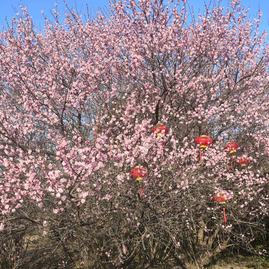 你的心情我会懂