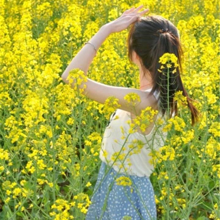 风雨人生