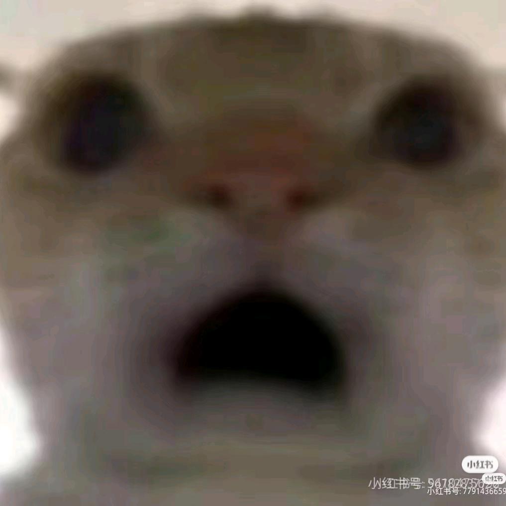 我是很好的好严