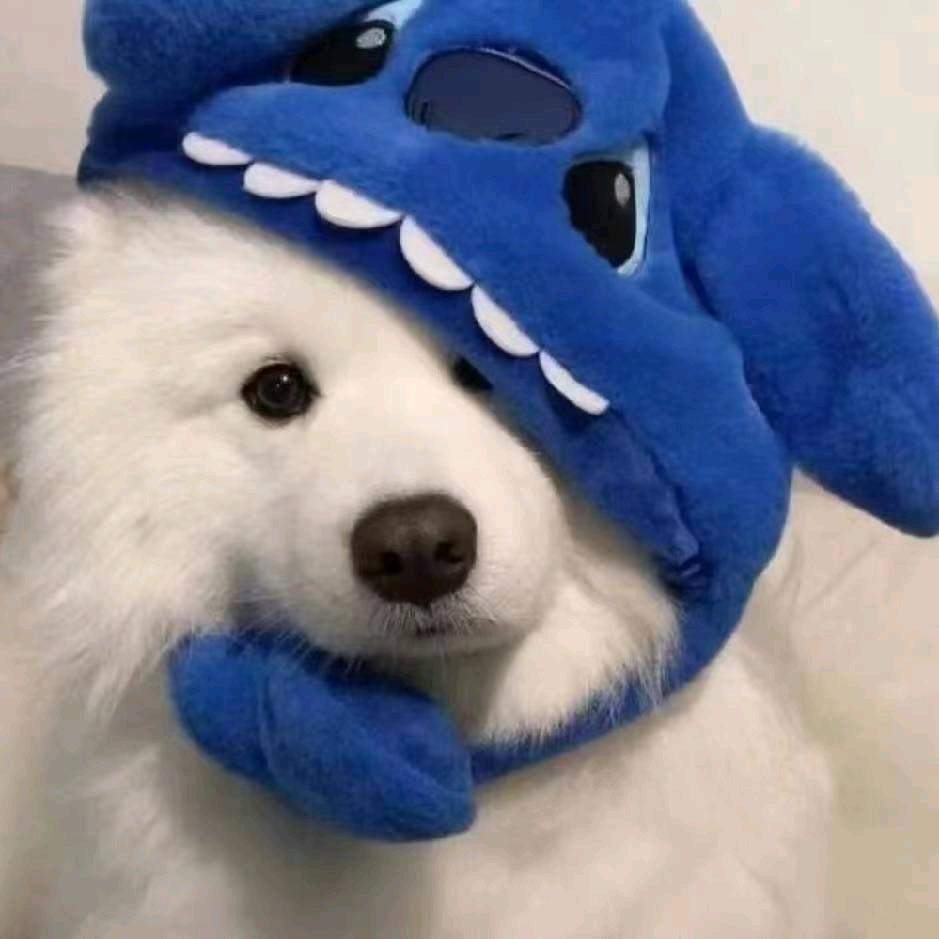 犄角旮旯（封票版）