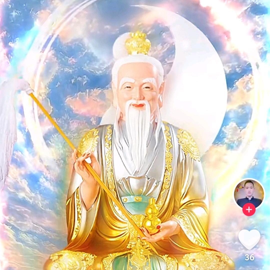 万物精灵