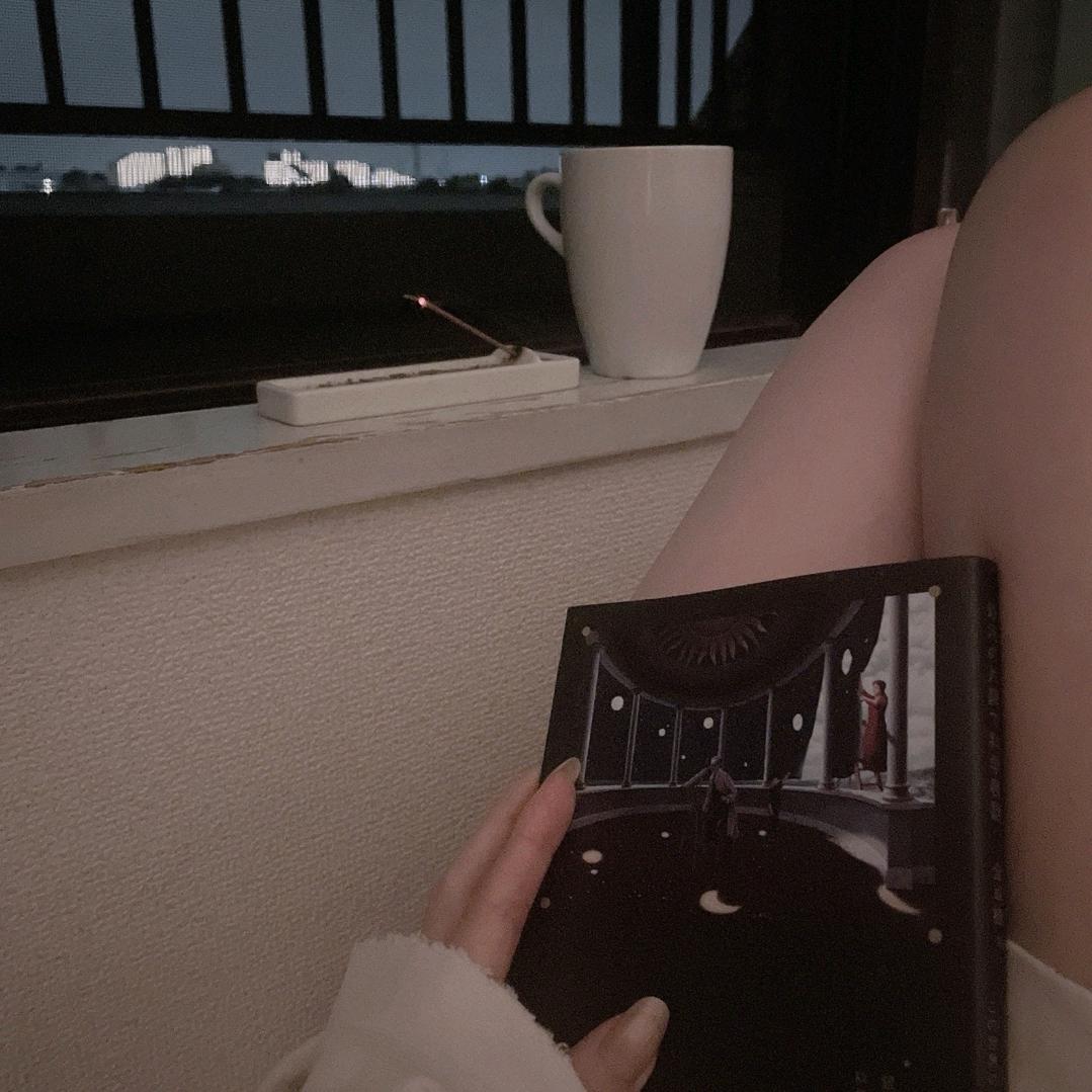 爱滑墙的狐狸