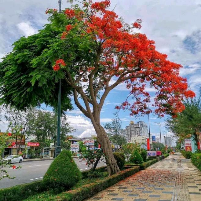 颜记阿勇（努力中）