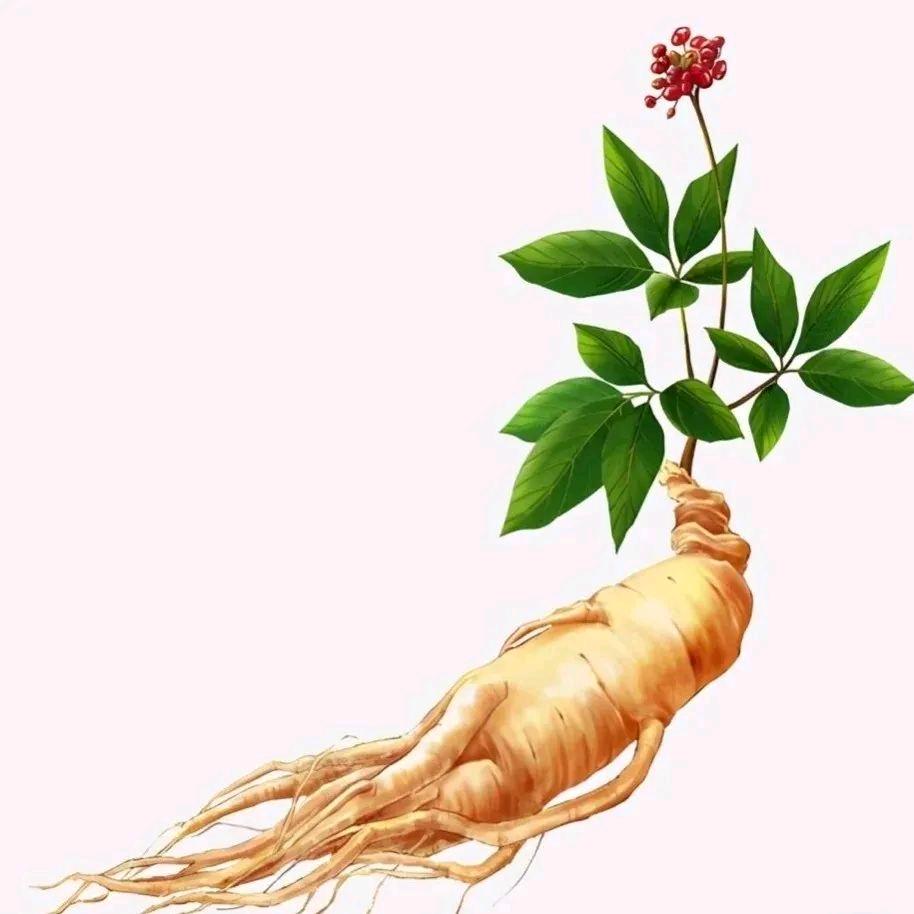 咸通相如