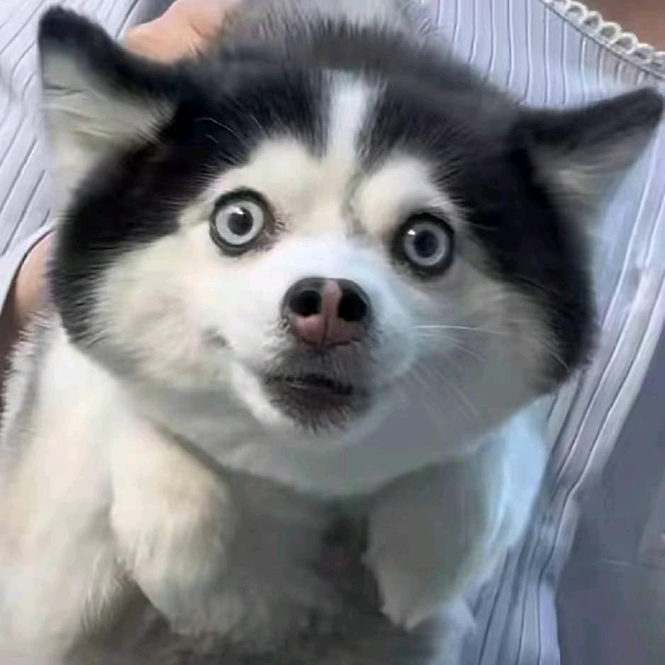 安然