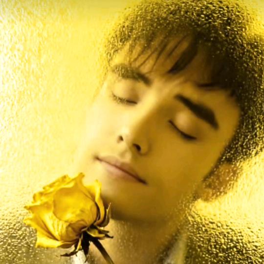 〄ahmatjan〄