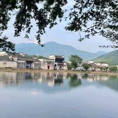 未来可期🌳