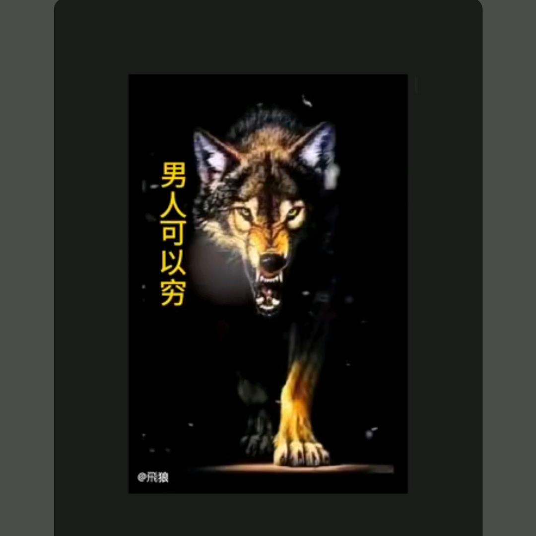 🥀᭄可以💔没钱💔但一定💔骚