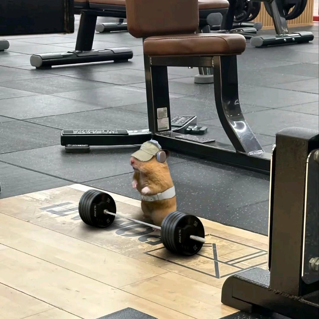 不多鱼