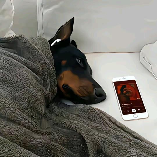 R UI