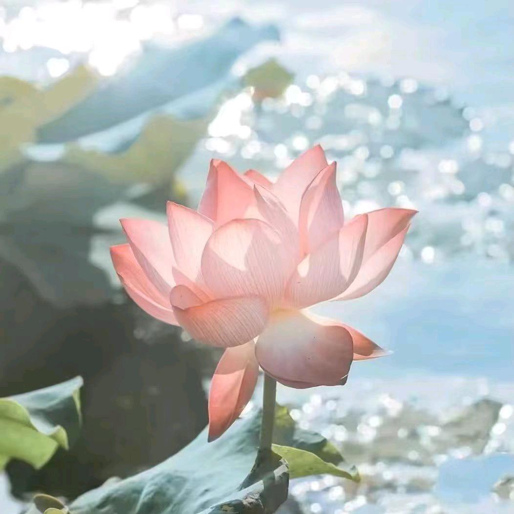 忘记过去