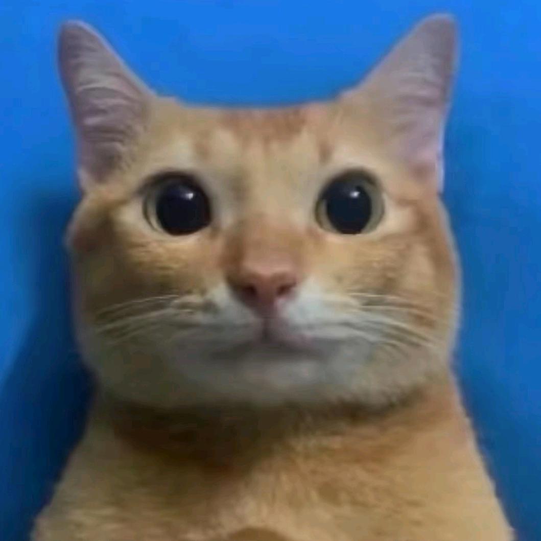 ・＿・