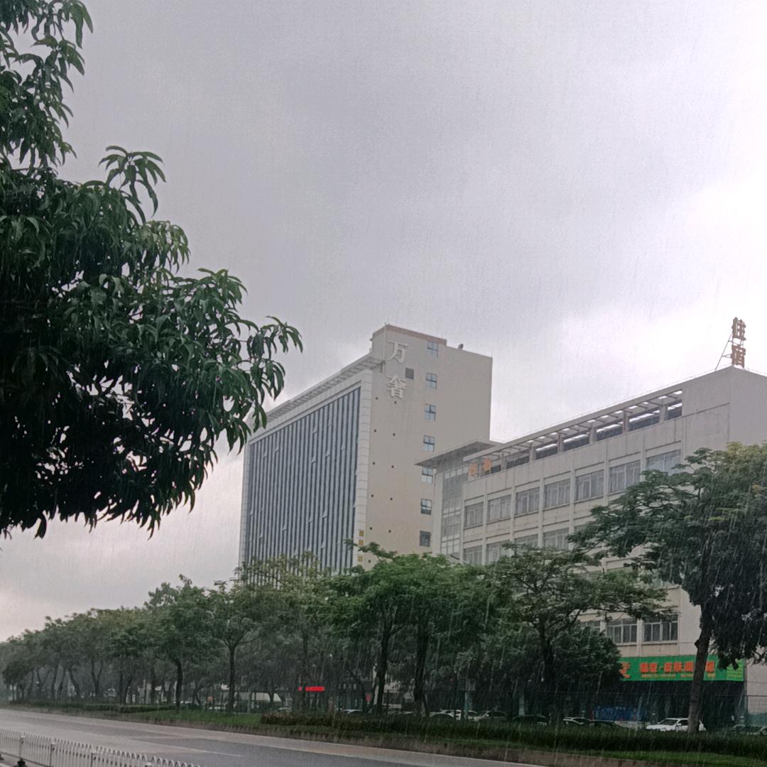 情深义重【1984】