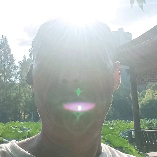 感悟因果循环