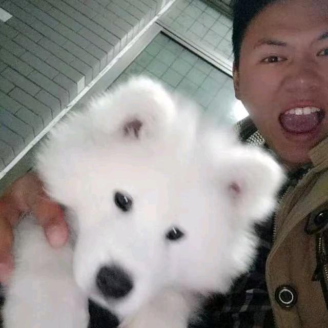 小龙旁边是大白
