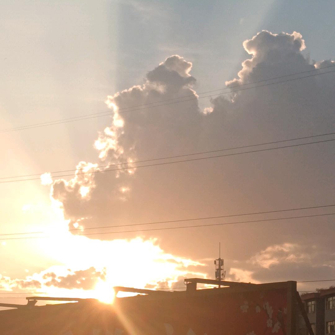 𝐘.小乖