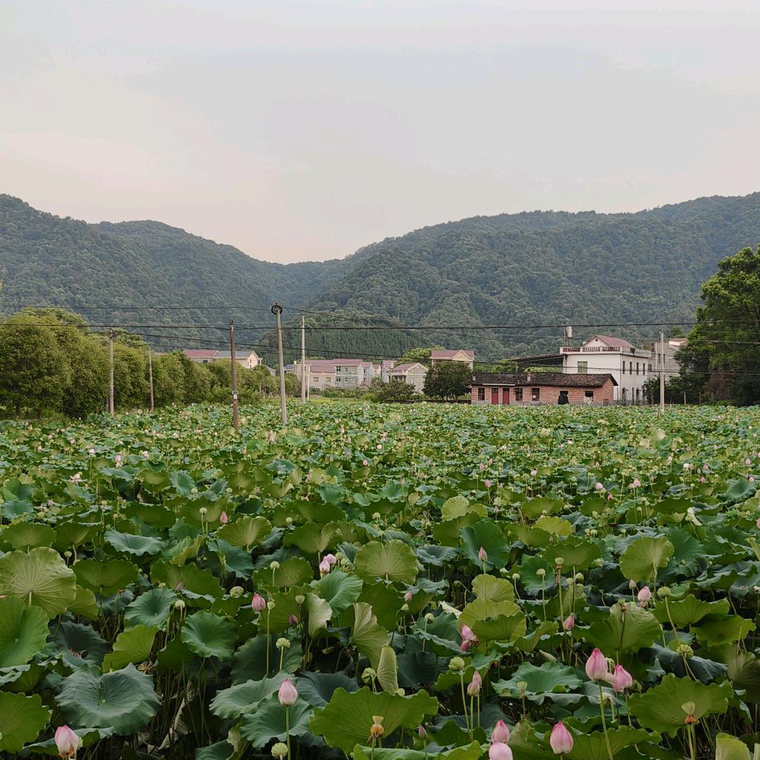 平凡