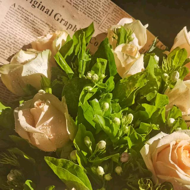 可乐可可（上班版）