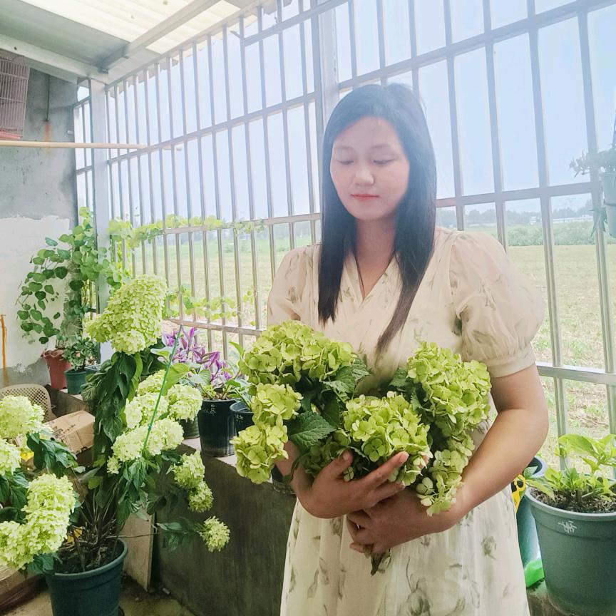 花开一诺