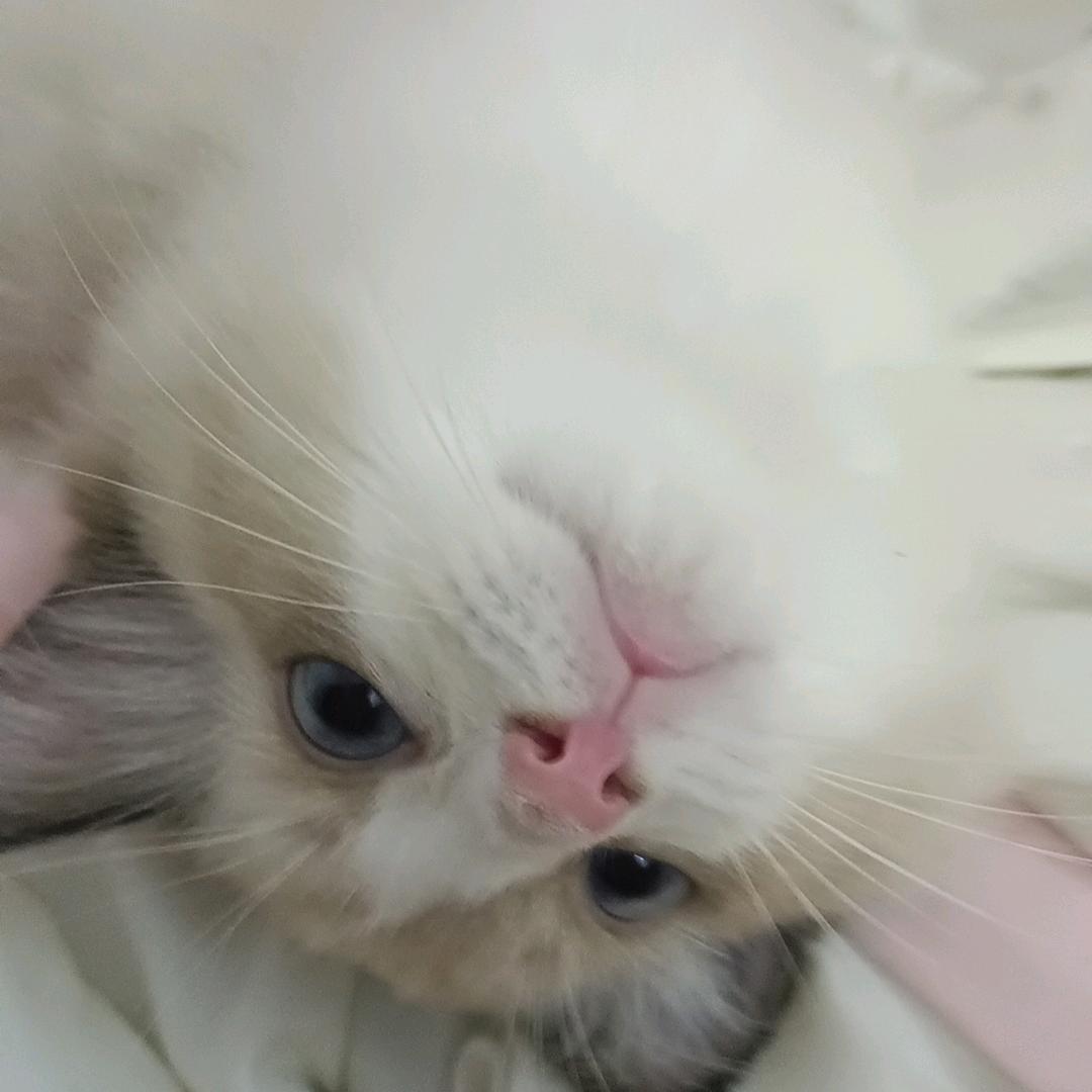 超自然蹐跼
