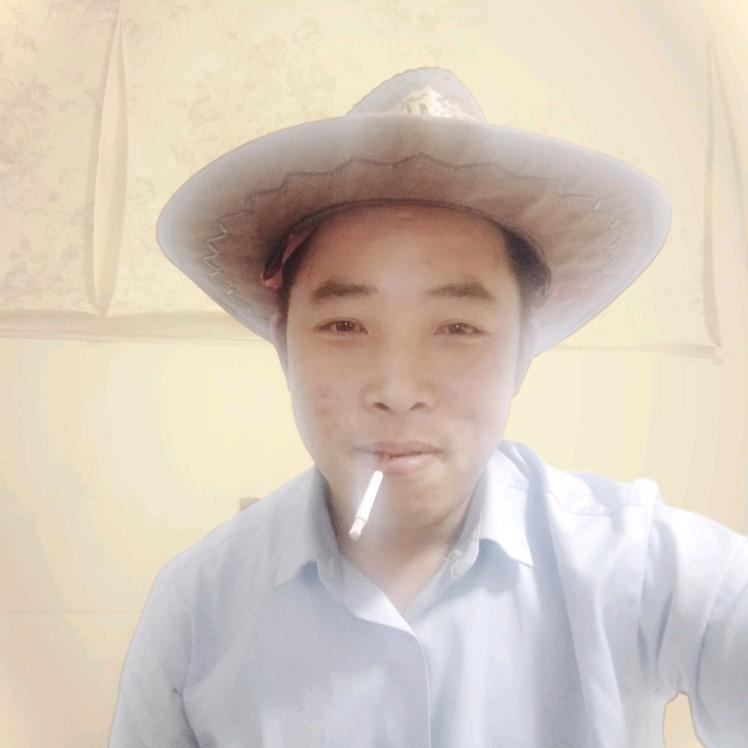 乌鸦