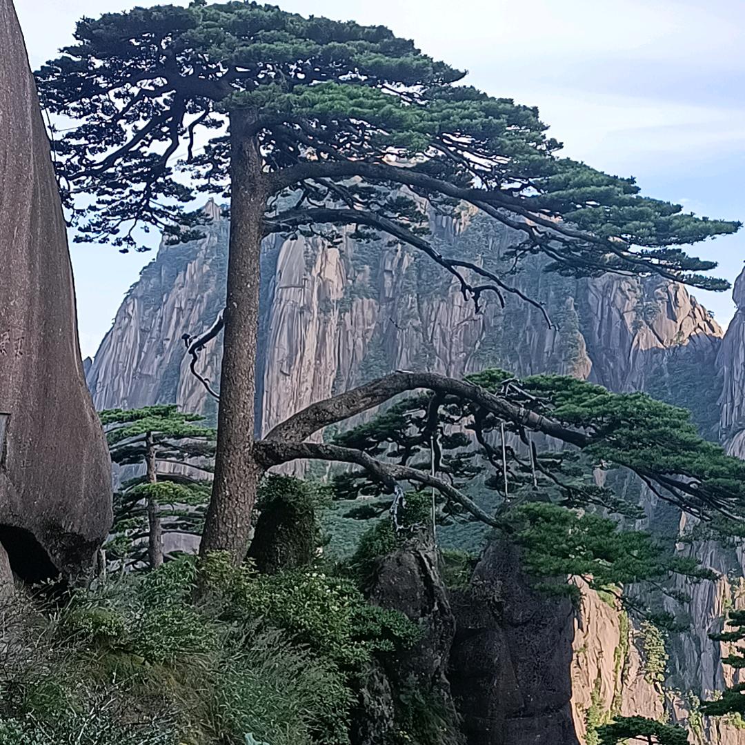 陈哥（尊师生哥）