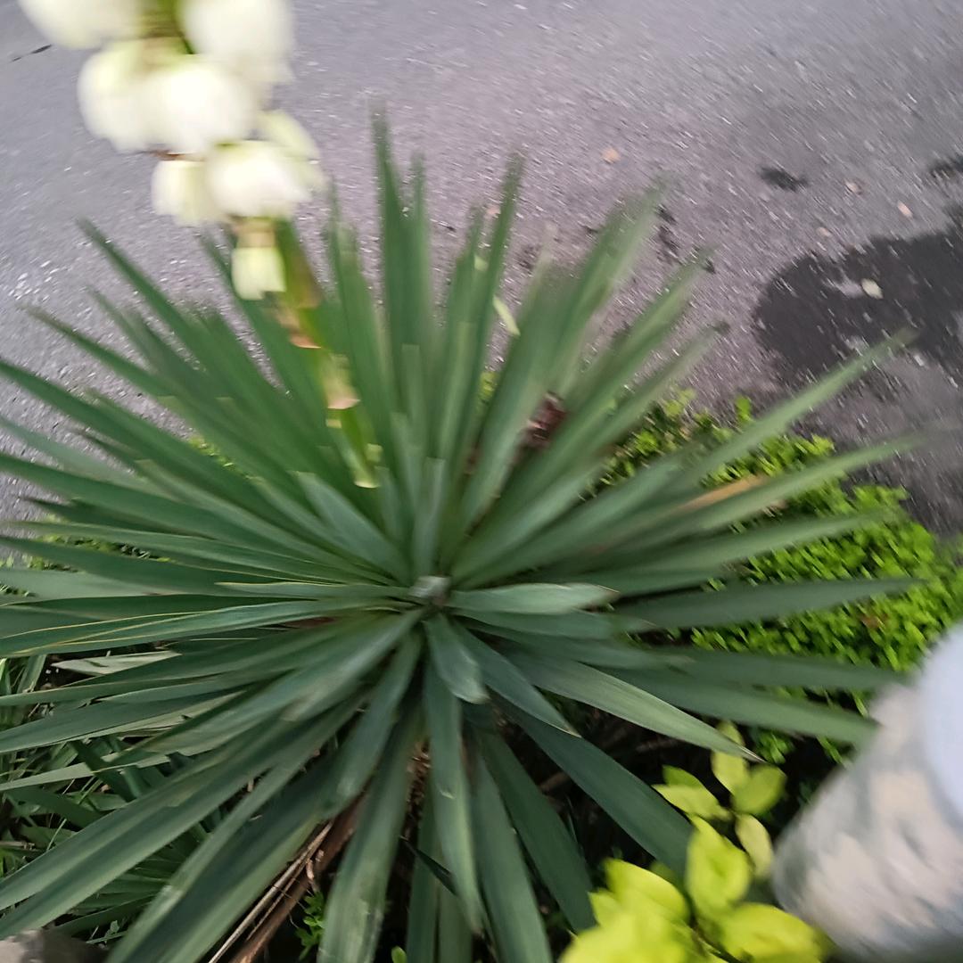 余生好好爱自己。
