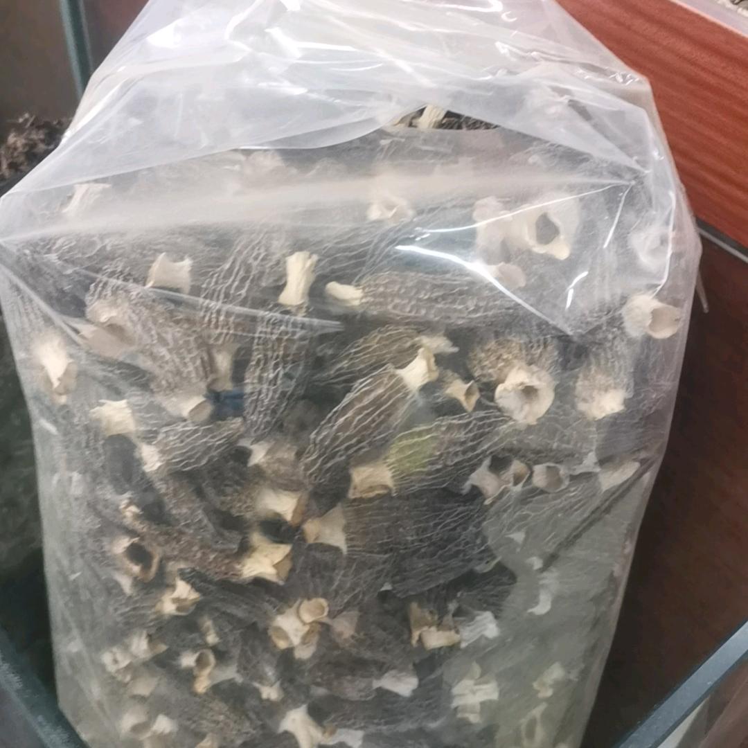 一生辉煌