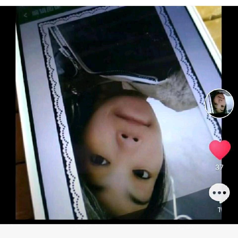 唯独宠你【营销部】