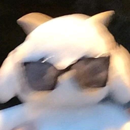 大气层玩家
