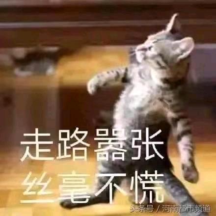 ☕️昼伏夜行