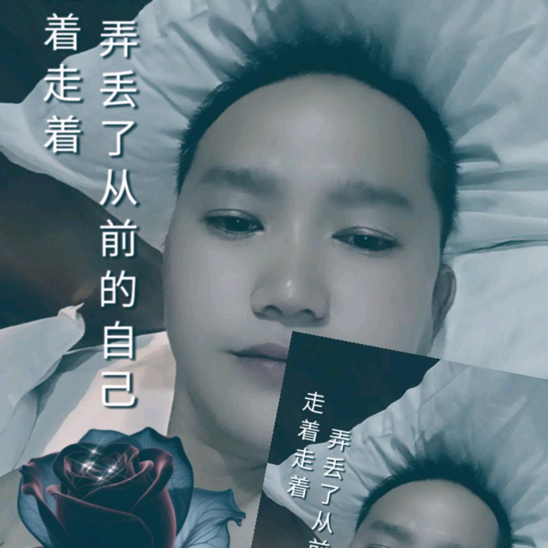 我是枫叶
