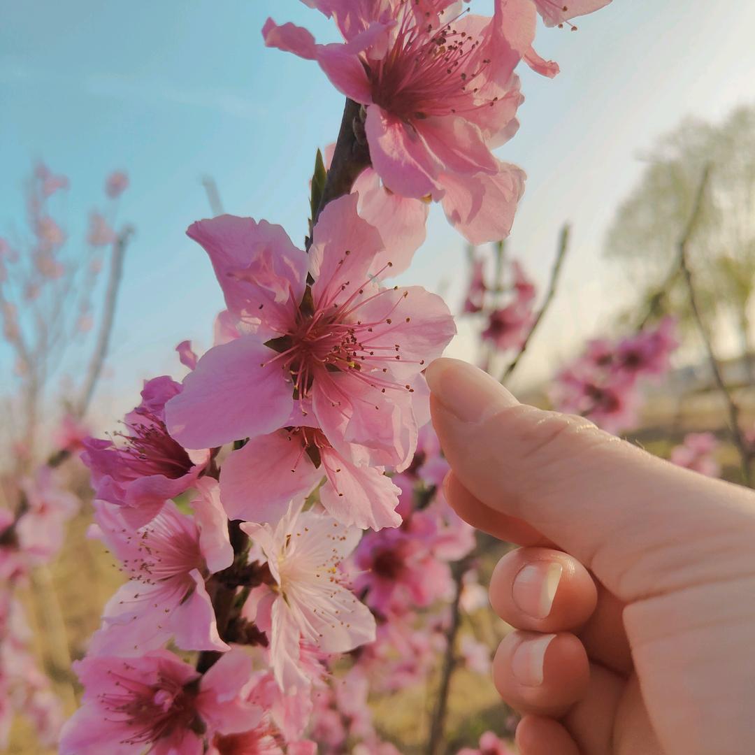 遇见……💞