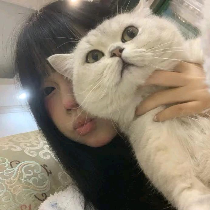 Mrs.张