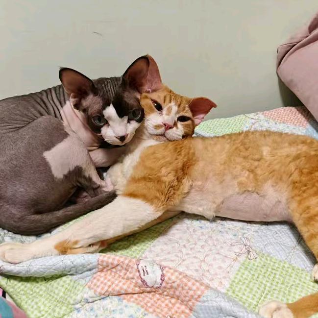 骆米和招福的日常