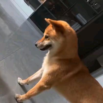 安定即可