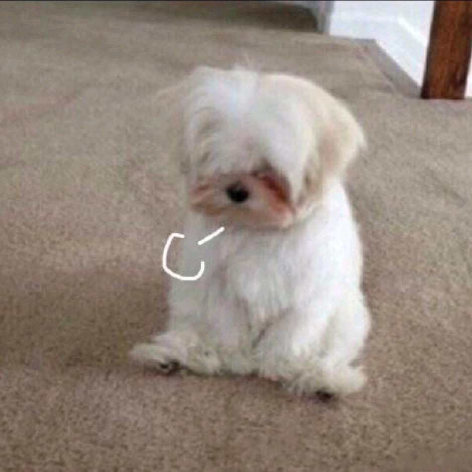 阿茶不爱喝苦茶