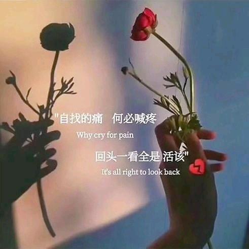 不侒衯の尐情绪