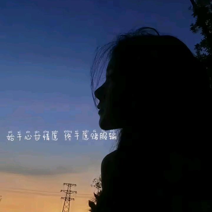 💞小芙蓉