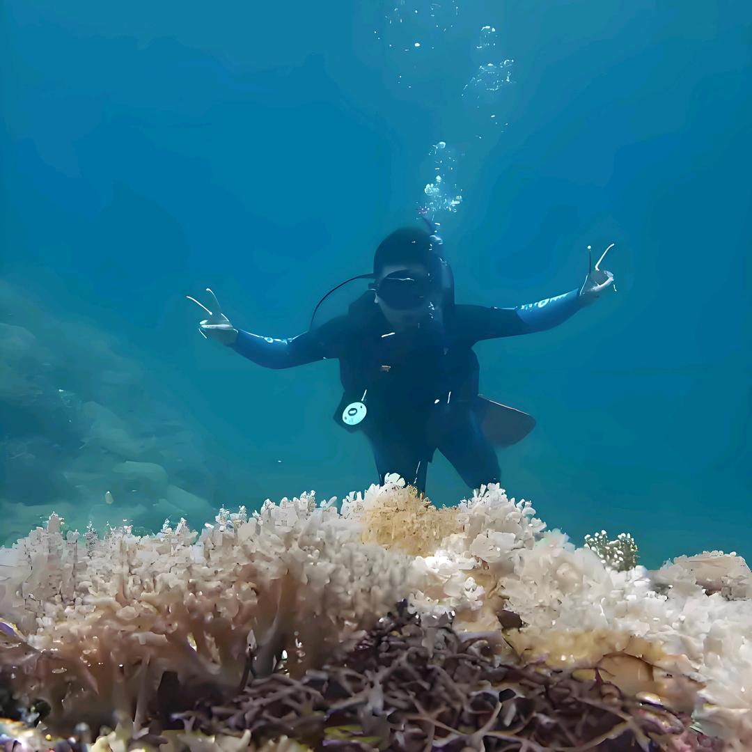 海底潜水小杨