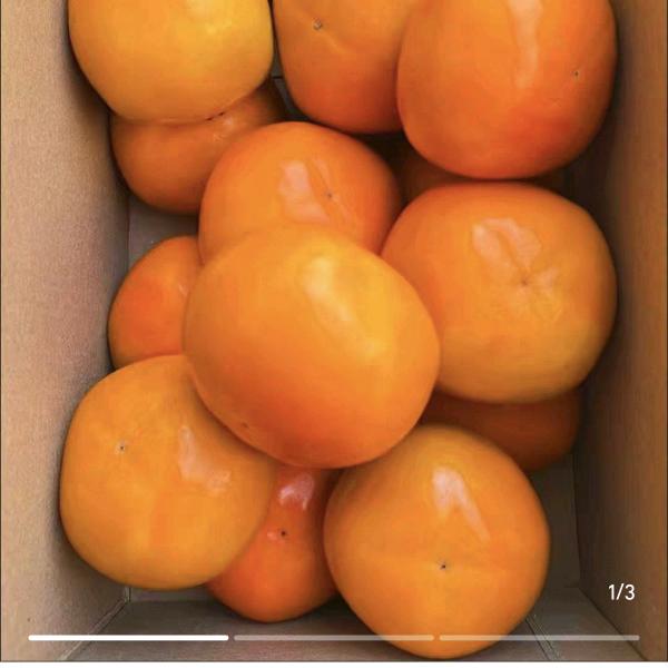 御园鲜果