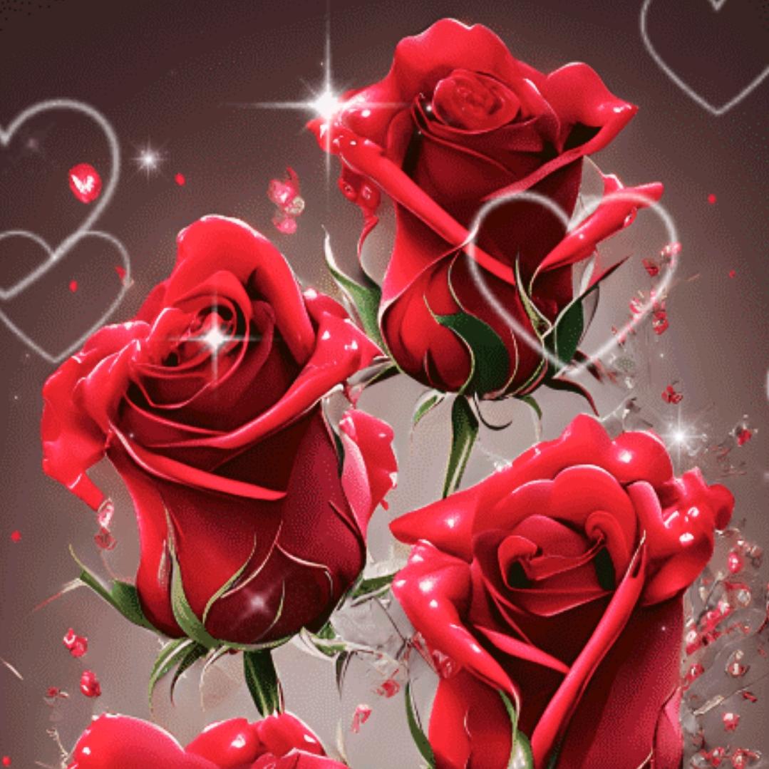 💞张💞