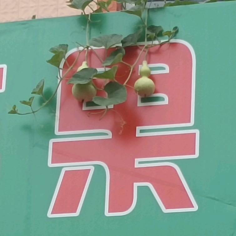 任我行！