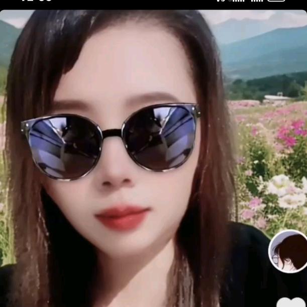 小燕子